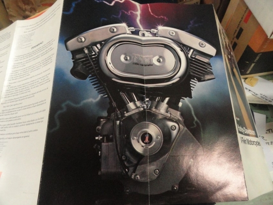 ADVERTISING BROCHURE (You get 2)