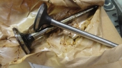 EXHAUST VALVES