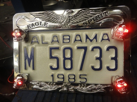 LICENSE PLATE FRAME WITH SKULL LIGHTS