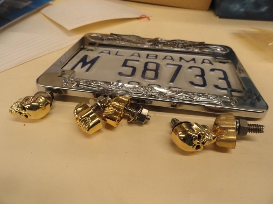 LICENSE PLATE SKULL BOLTS
