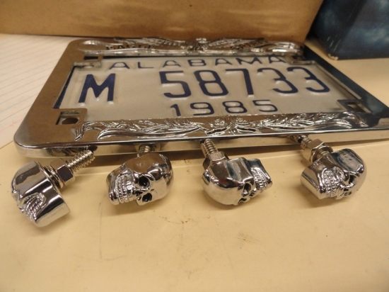 LICENSE PLATE SKULL BOLTS