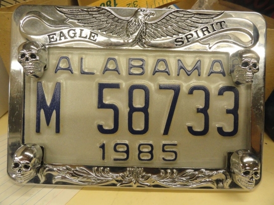 LICENSE PLATE FRAME WITH SKULL BOLTS