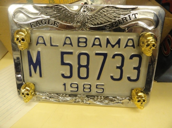 LICENSE PLATE FRAME WITH SKULL BOLTS