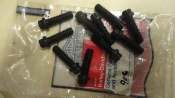 TAPPET BLOCK SCREWS